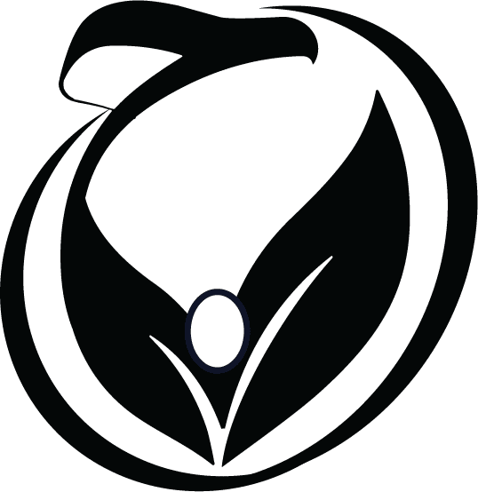 لوگو حلال وامینه