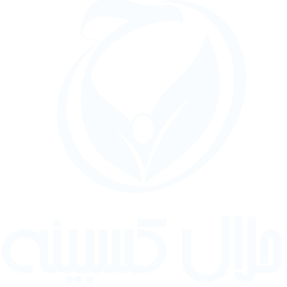 لوگو حلال وامینه