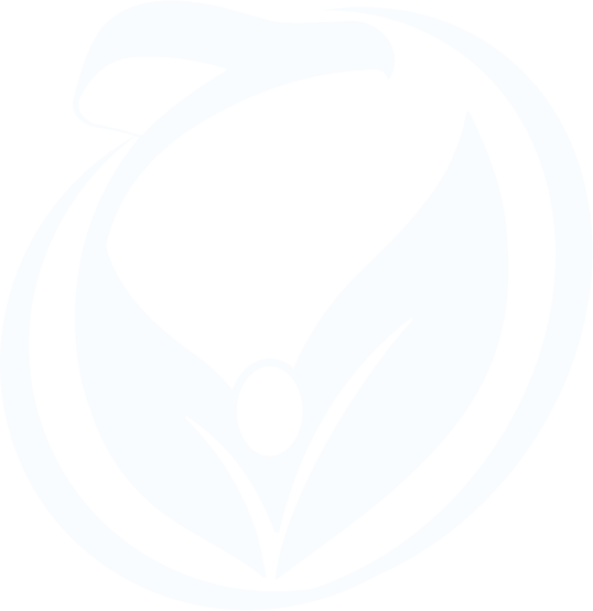 لوگو حلال وامینه